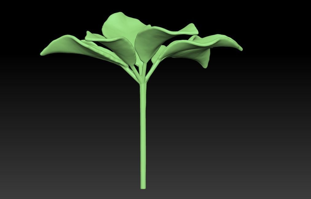 Chestnut leaf  Anthracus flower sculpture  ZB leaf brush 3D print model_3