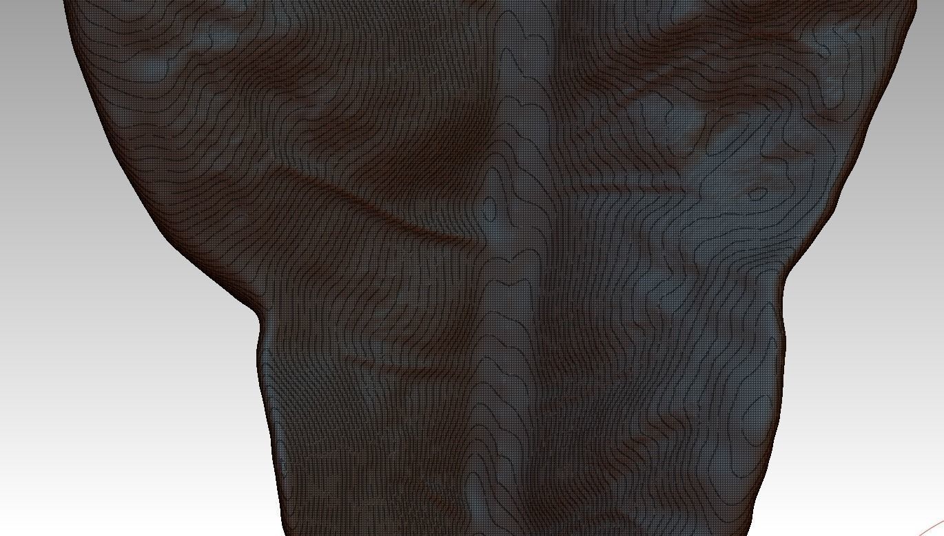 Sprinkling FIG leaf leaf sculpture  leaf texture ZB leaf brush 3D print model_4