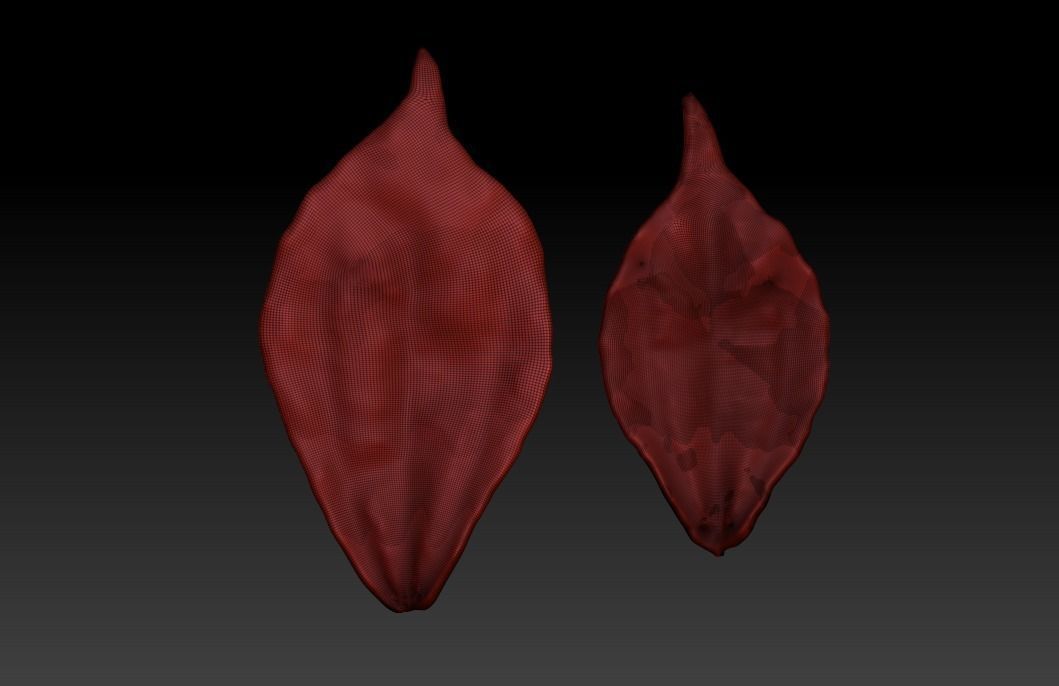 Leaves 3D image of leaves 3D of plant leaves Printed leaves STL 3D print model_2