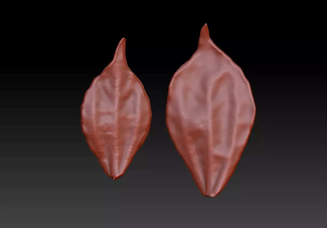 Leaves 3D image of leaves 3D of plant leaves Printed leaves STL 3D print model_0