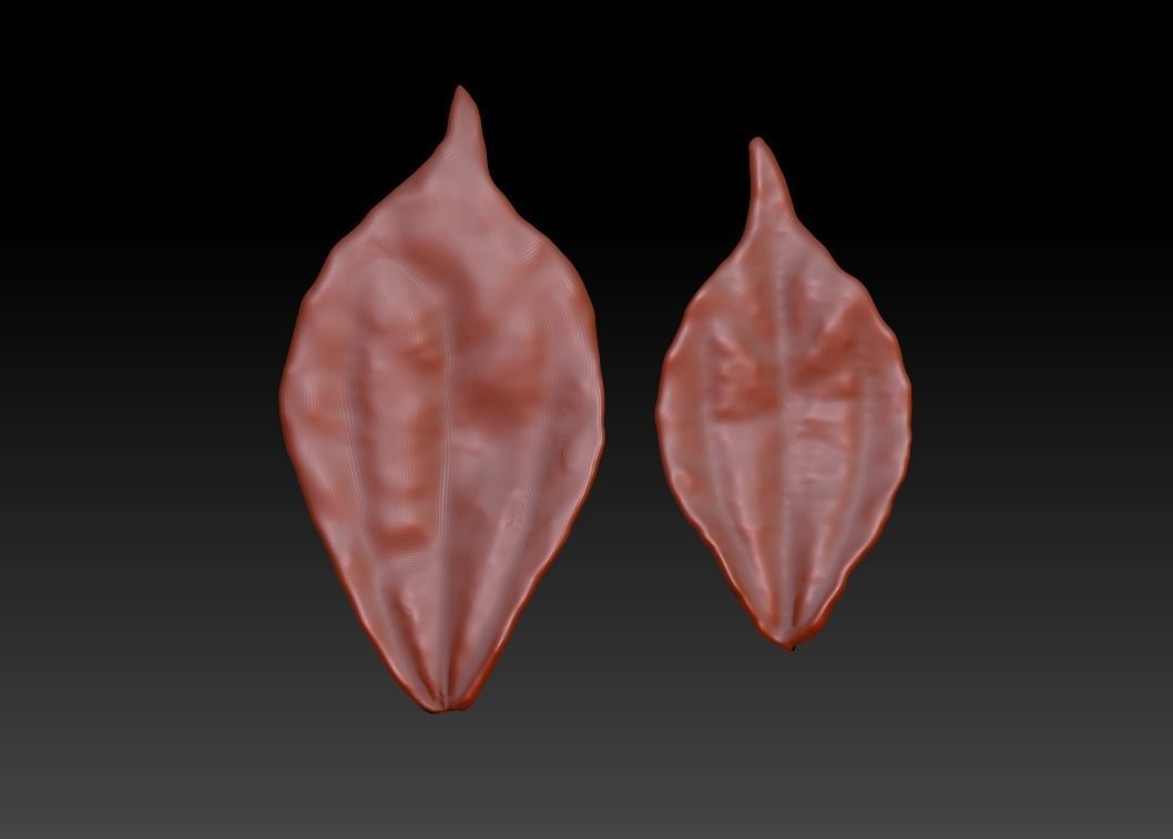 Leaves 3D image of leaves 3D of plant leaves Printed leaves STL 3D print model_1
