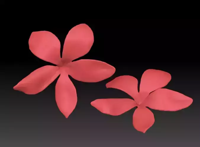 frangipani Model 3D printing  STL Flower sculpture ZB brush 3D print model