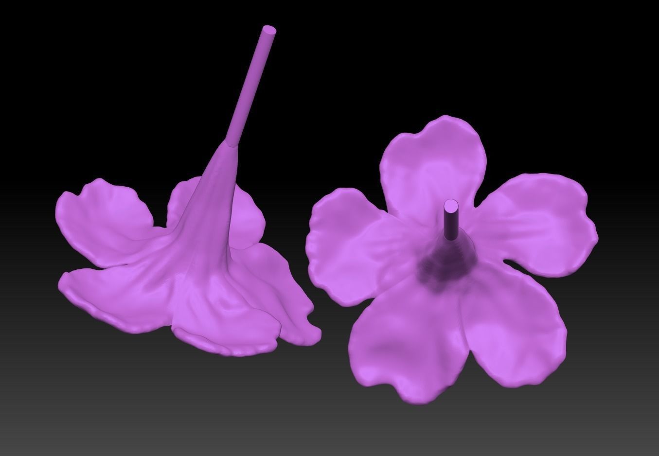 Blue flowers flowers 3D Reed grass sculpture model ZB brush 3D print model_4