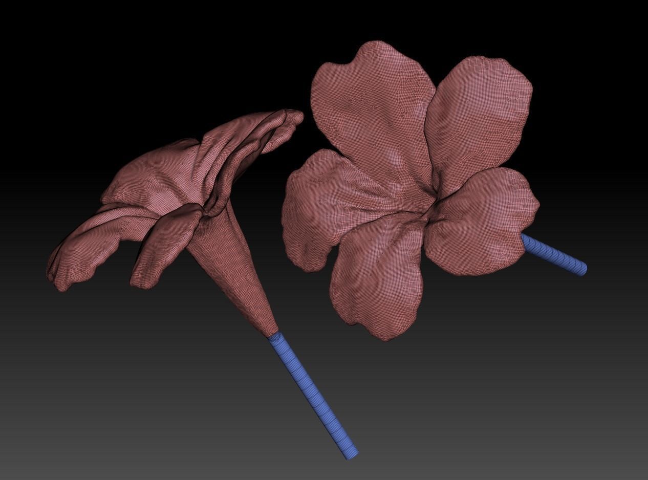 Blue flowers flowers 3D Reed grass sculpture model ZB brush 3D print model_7