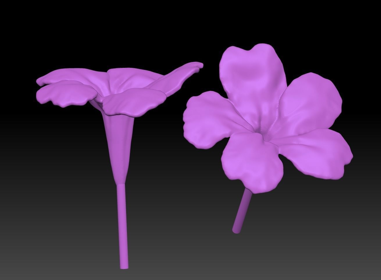 Blue flowers flowers 3D Reed grass sculpture model ZB brush 3D print model_6