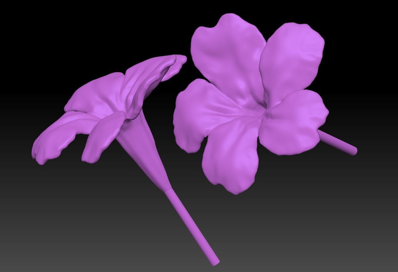 Blue flowers flowers 3D Reed grass sculpture model ZB brush 3D print model_2