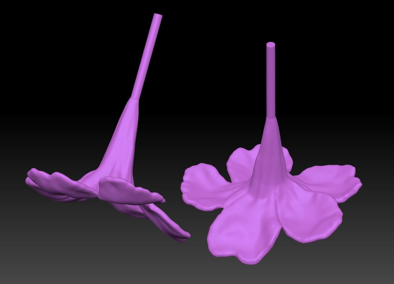 Blue flowers flowers 3D Reed grass sculpture model ZB brush 3D print model_1