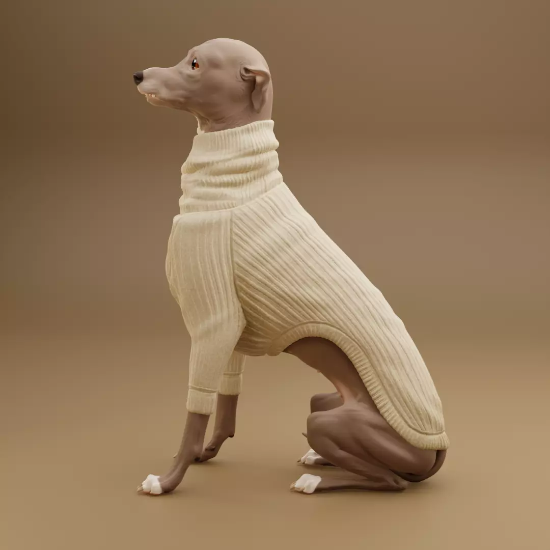 Suzy Sweater 3D print model