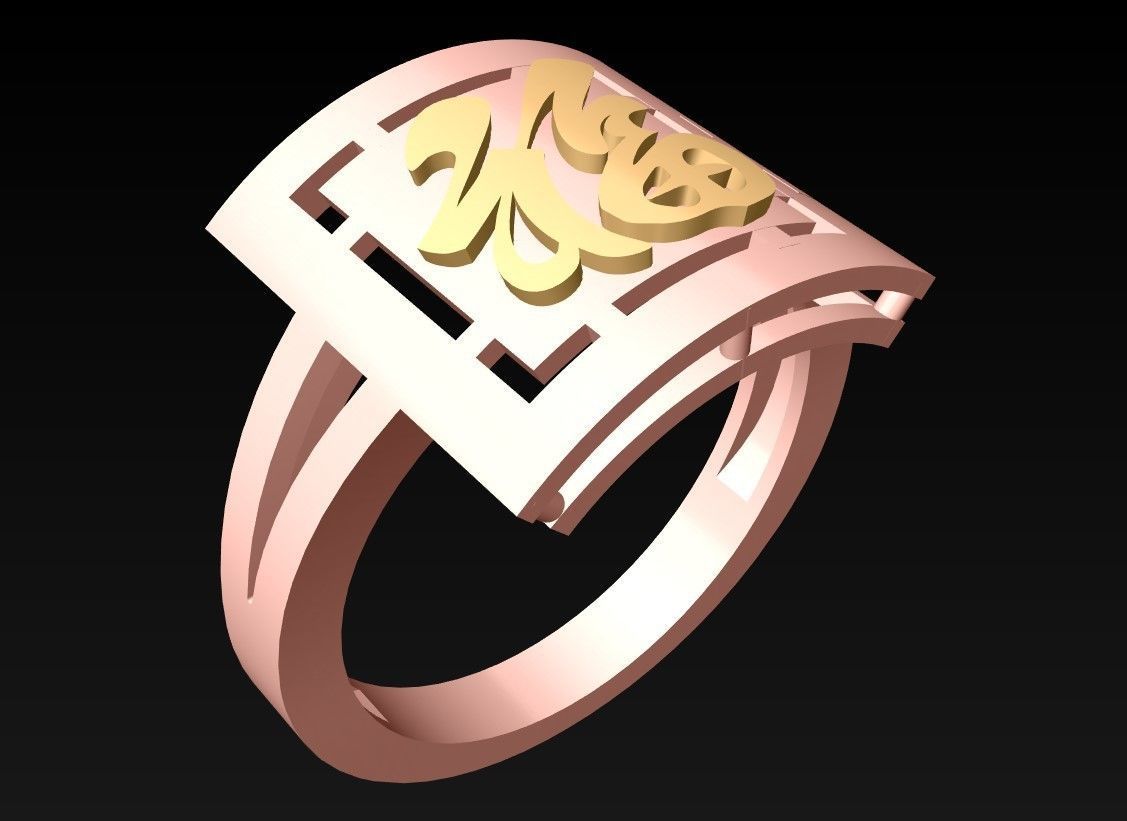 Blessing Rings - N5536 3D print model_1