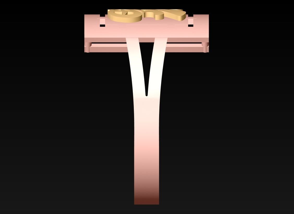 Blessing Rings - N5536 3D print model_5