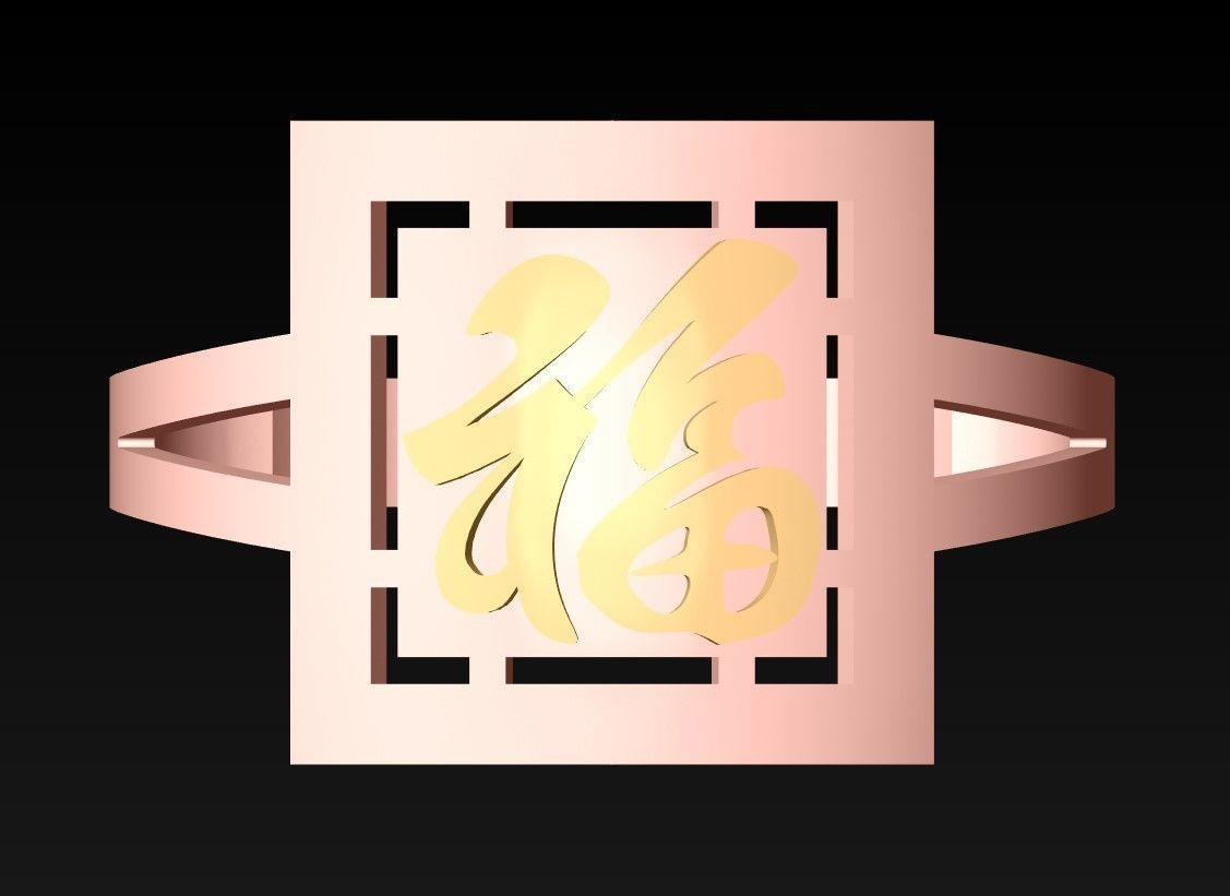 Blessing Rings - N5536 3D print model_4