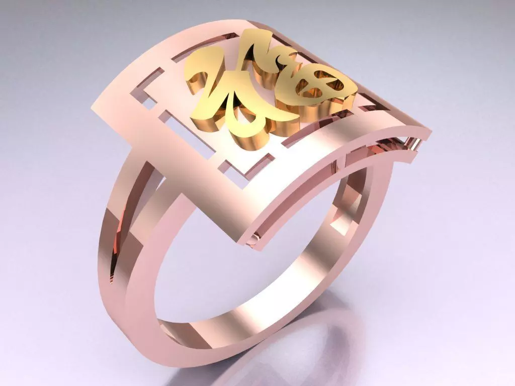 Blessing Rings - N5536 3D print model_0
