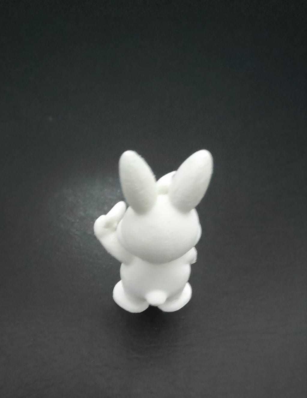 Little Bunny Heart 3D print model_9