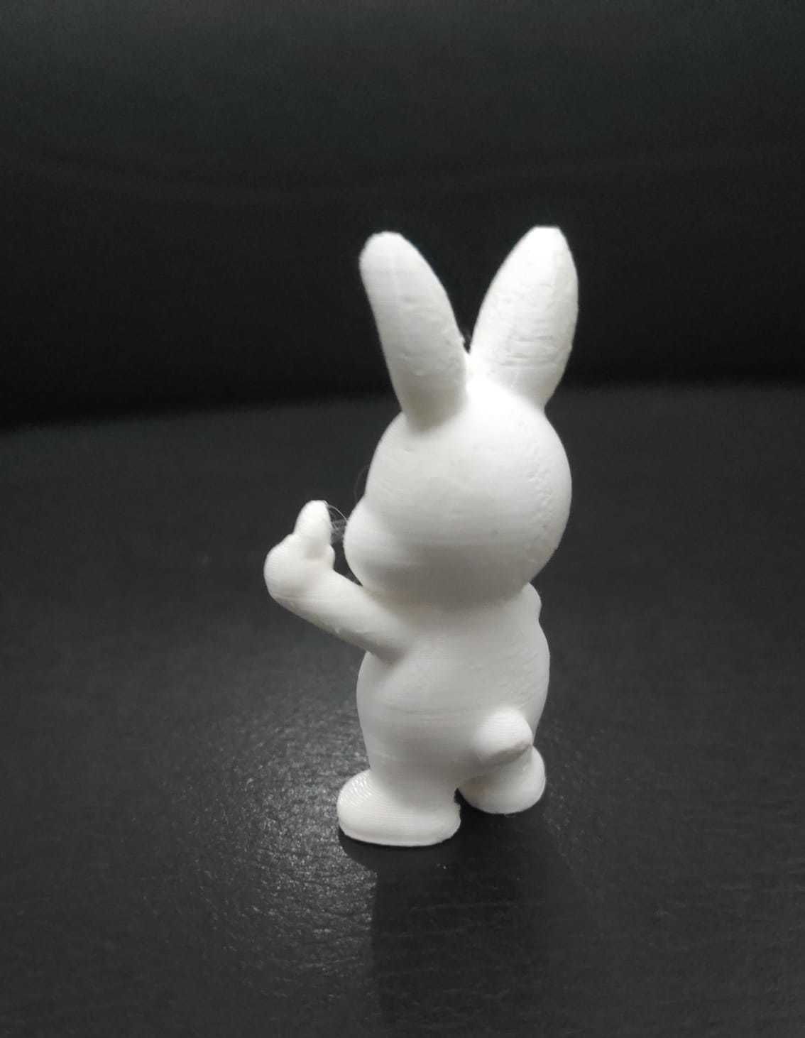 Little Bunny Heart 3D print model_7