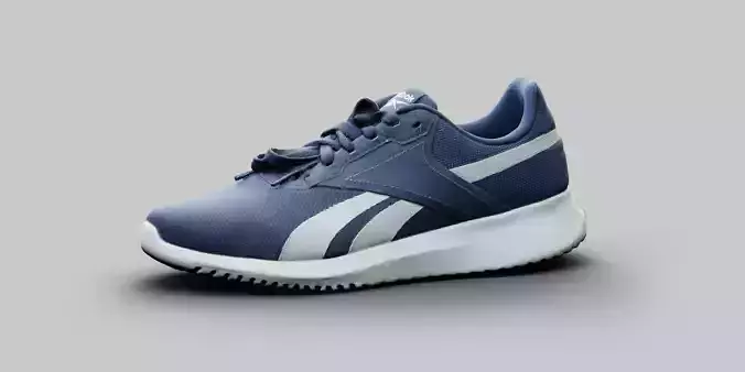 Reebok Flux lite Sports Shoes Hyper Realistic High and Low poly