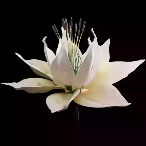 Unique Flower 07 3D model