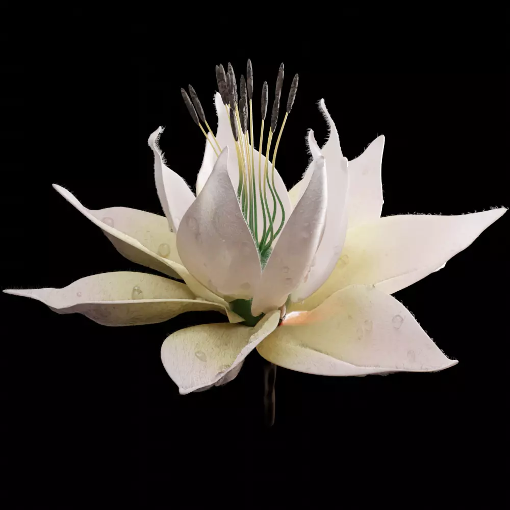 Unique Flower 07 3D model_0