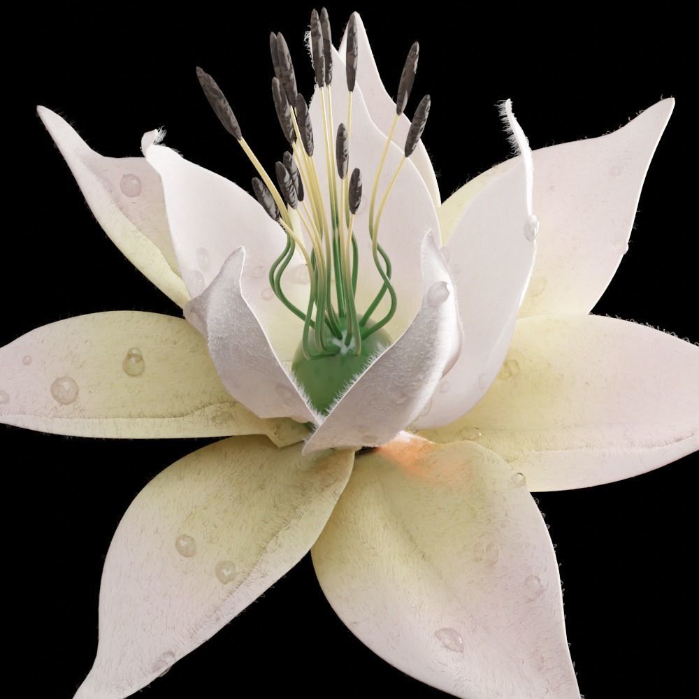 Unique Flower 07 3D model_2