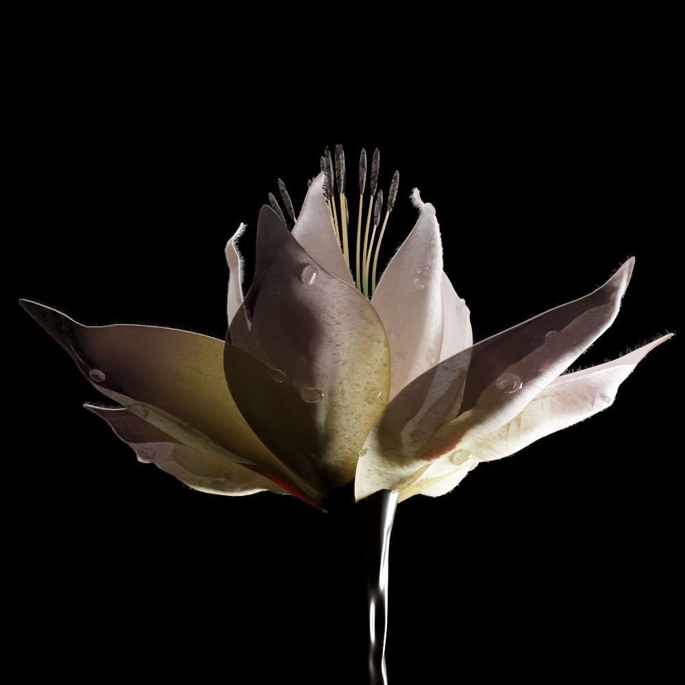 Unique Flower 07 3D model_1