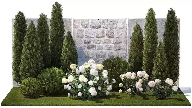 Beautiful garden thuja cypress bush hydrangea white 1377 3D model