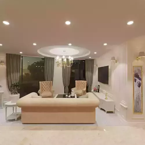 Neoclassical Living Room Design 