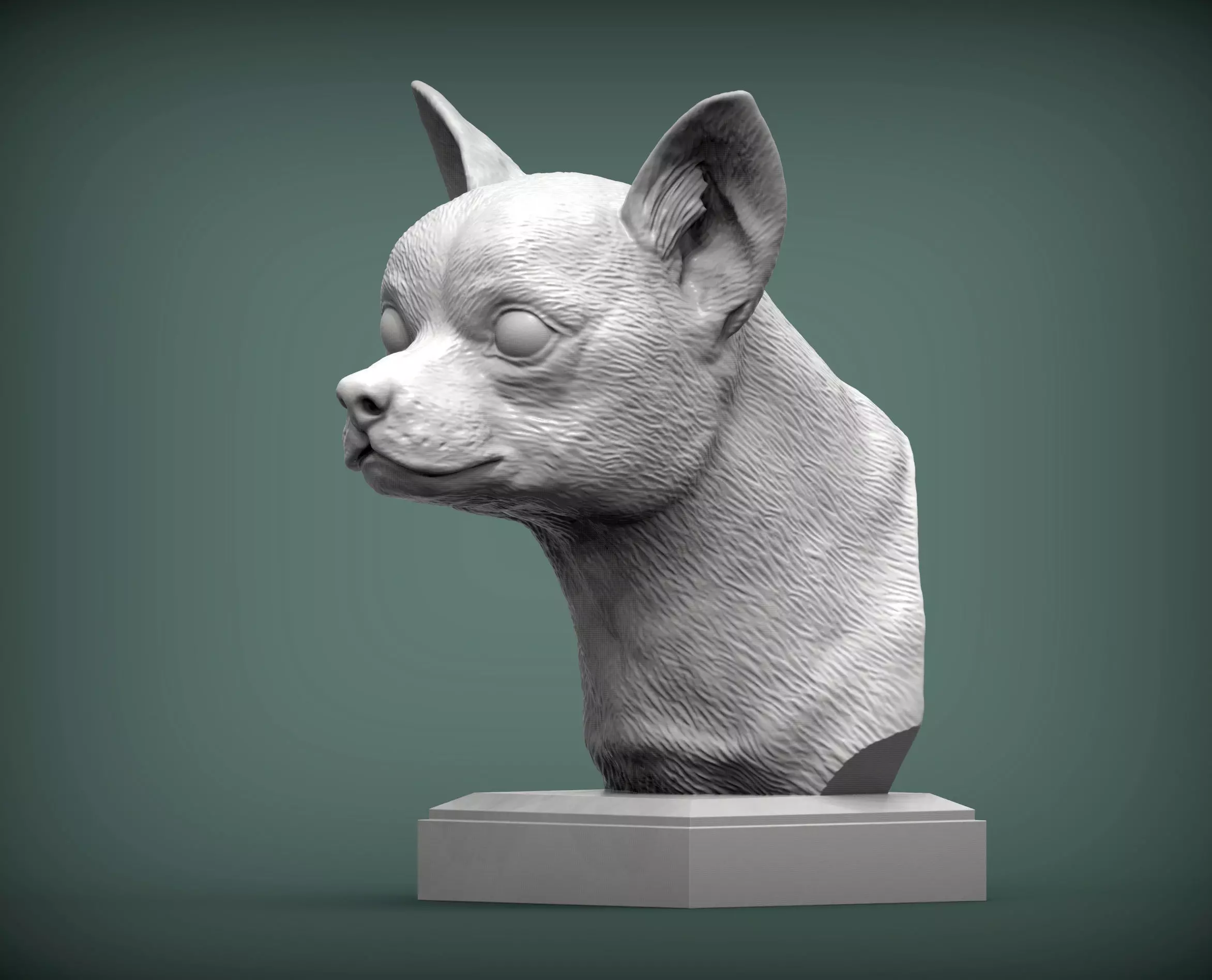 Chihuahua bust 3D print model