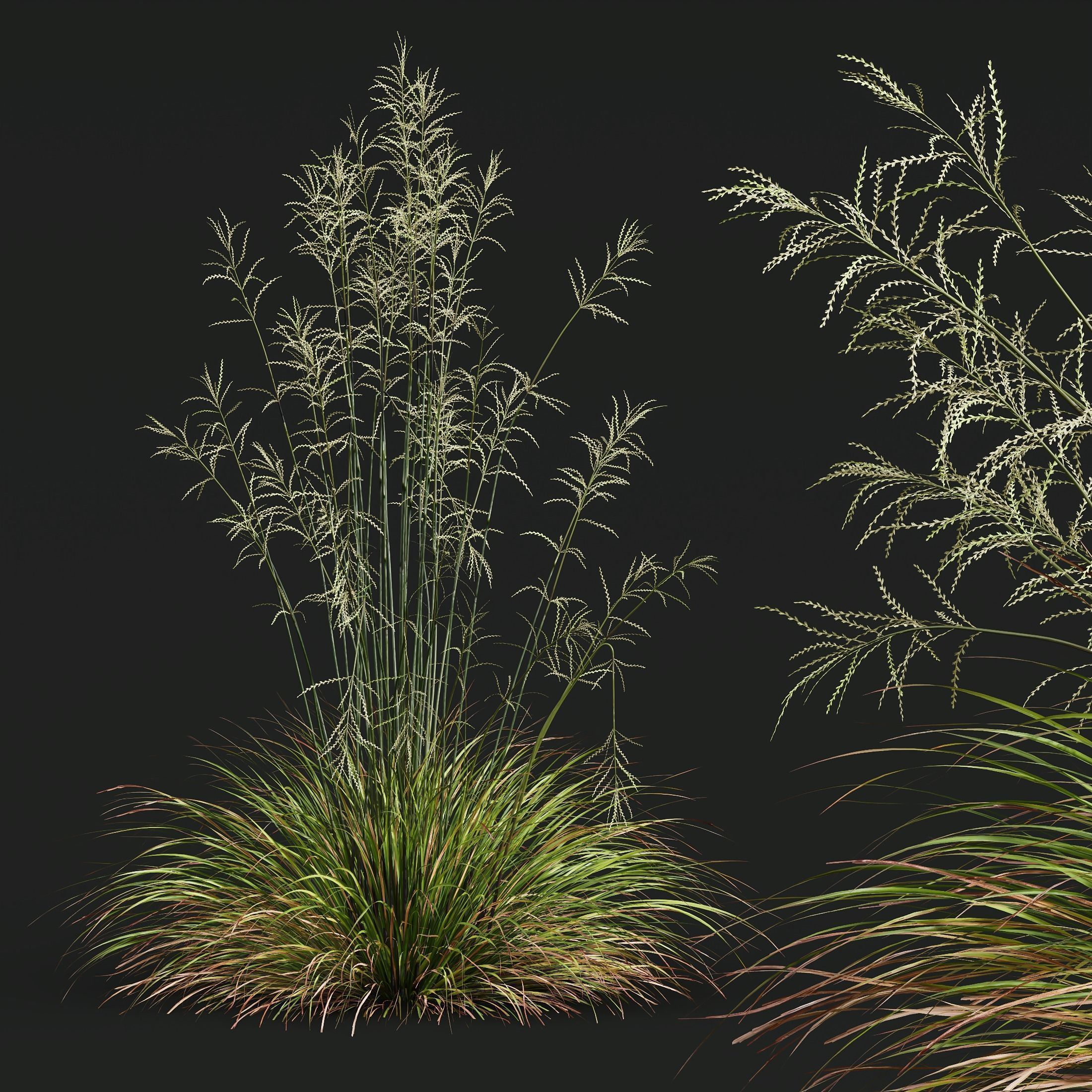 80 Different SETS Of Grass and Bush SET VOL08 3D Model Collection_186