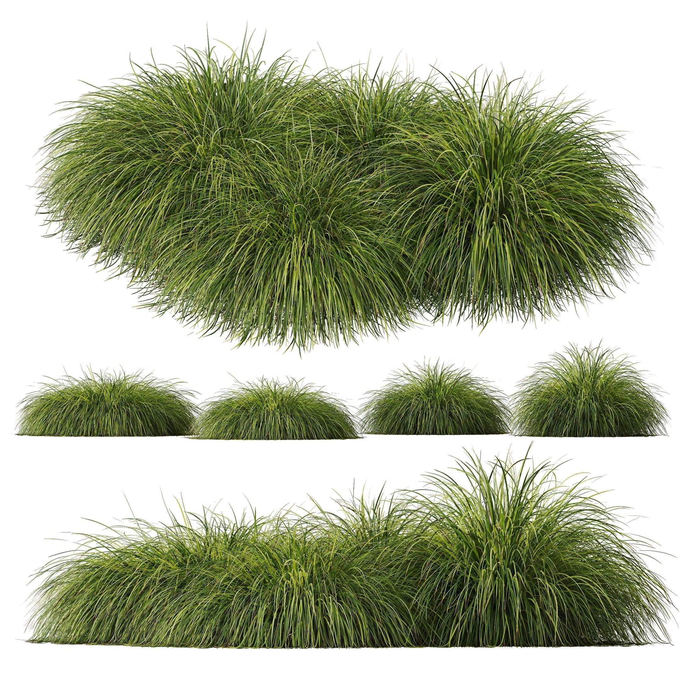 80 Different SETS Of Grass and Bush SET VOL08 3D Model Collection_87
