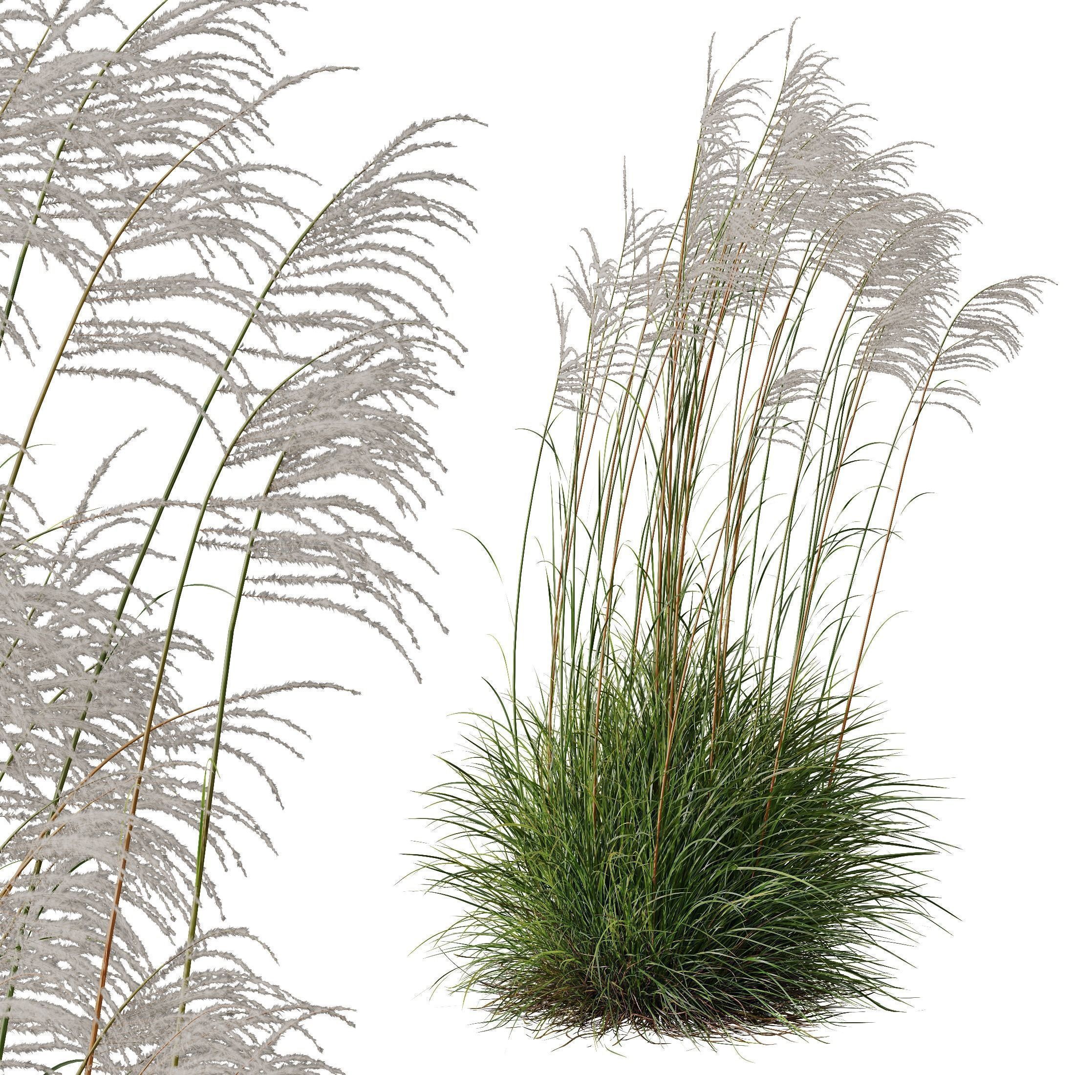 80 Different SETS Of Grass and Bush SET VOL08 3D Model Collection_267