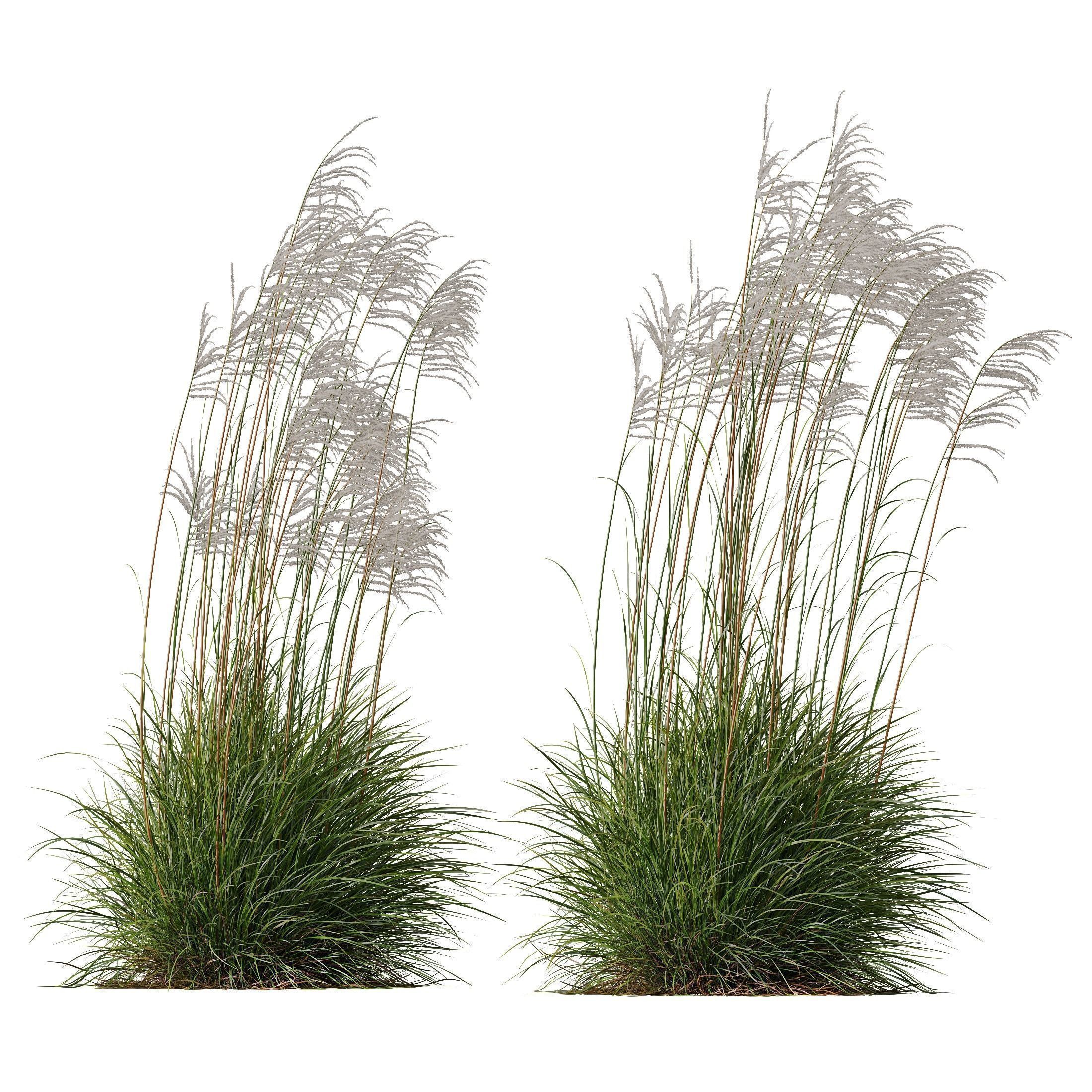80 Different SETS Of Grass and Bush SET VOL08 3D Model Collection_123