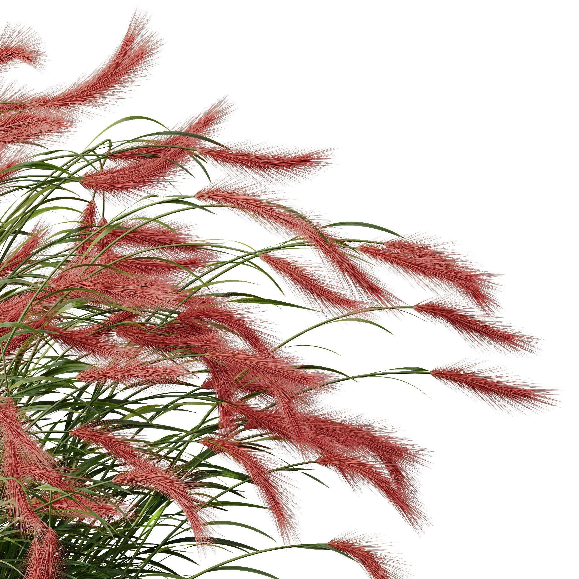80 Different SETS Of Grass and Bush SET VOL08 3D Model Collection_234