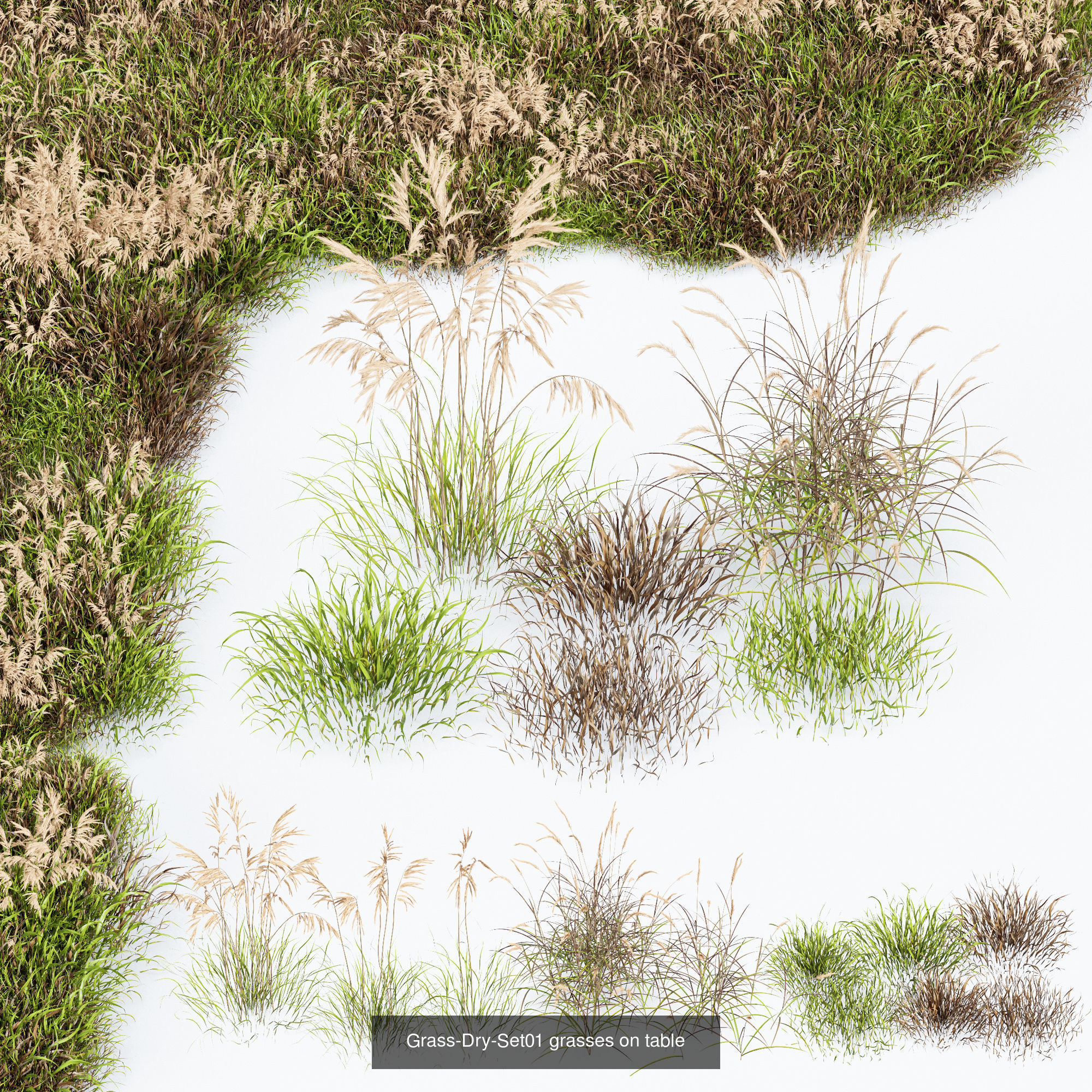 80 Different SETS Of Grass and Bush SET VOL08 3D Model Collection_12