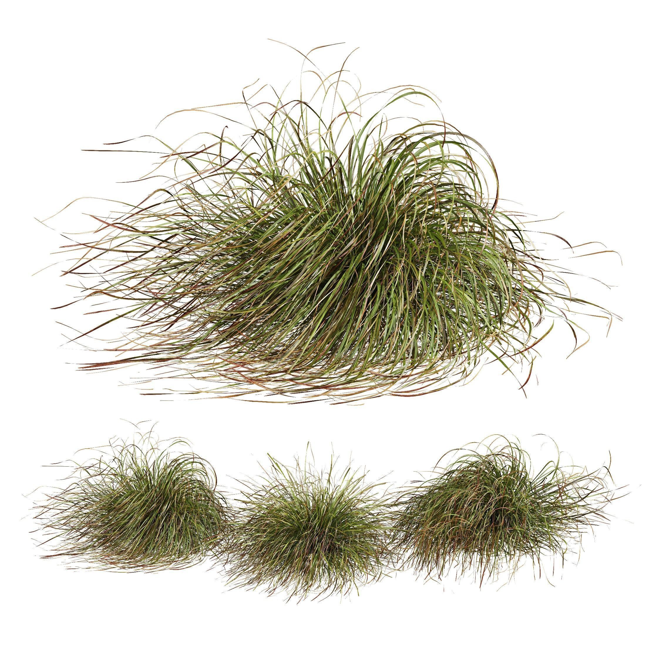 80 Different SETS Of Grass and Bush SET VOL08 3D Model Collection_31