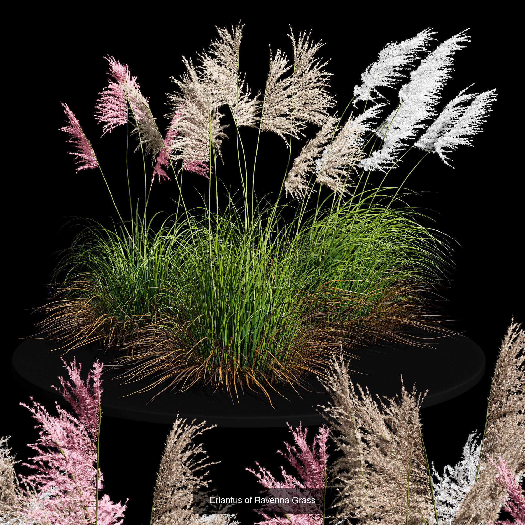 80 Different SETS Of Grass and Bush SET VOL08 3D Model Collection_22