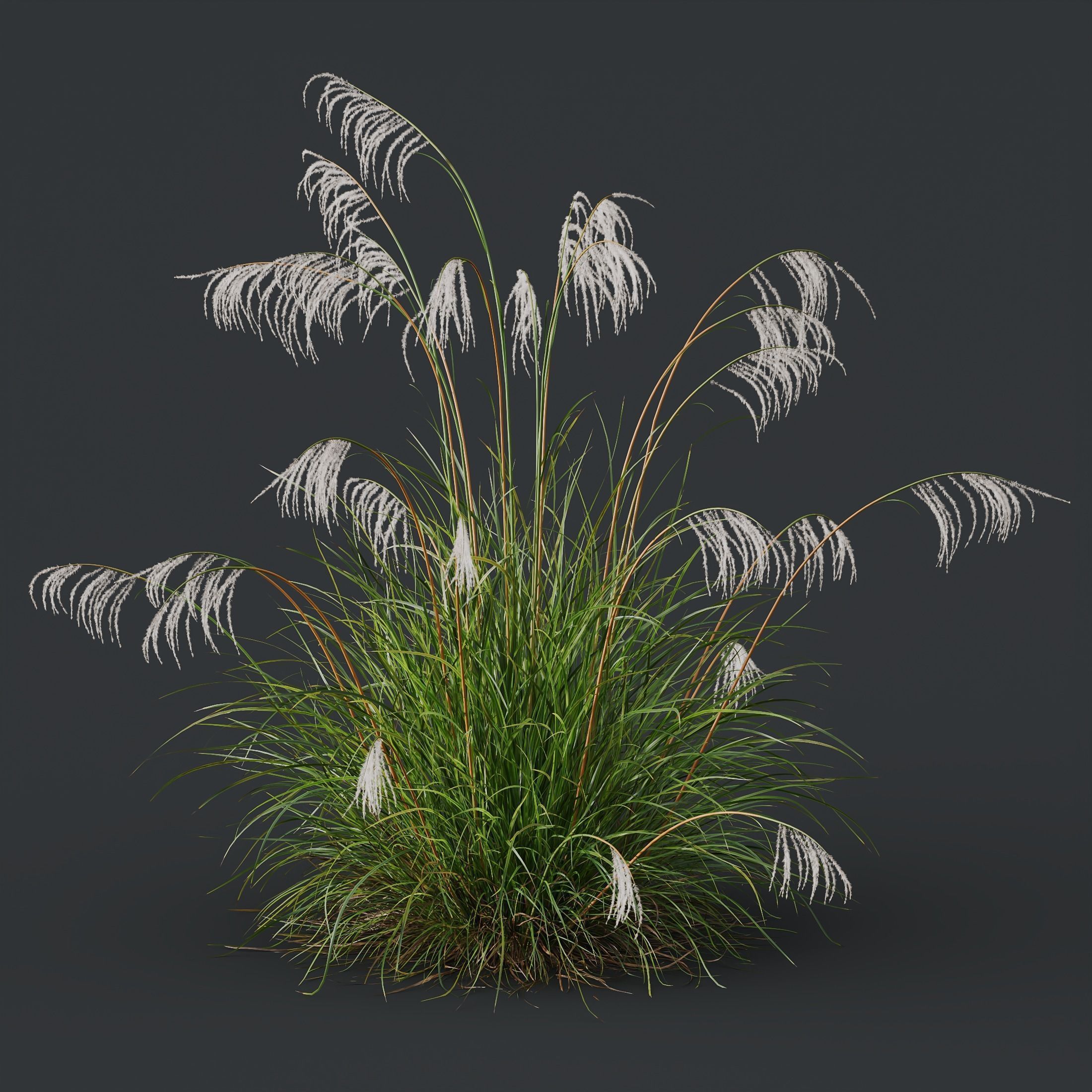 80 Different SETS Of Grass and Bush SET VOL08 3D Model Collection_211