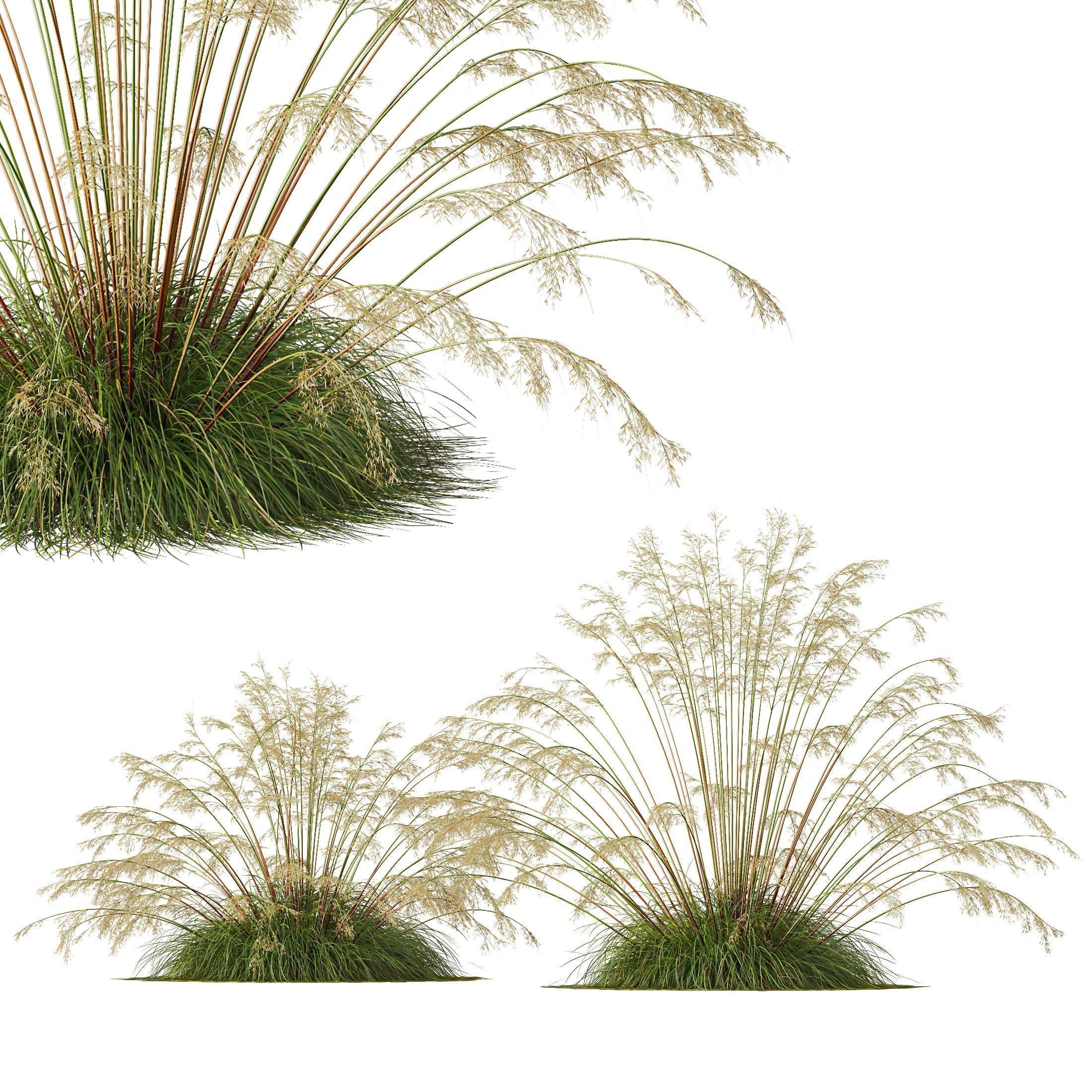 80 Different SETS Of Grass and Bush SET VOL08 3D Model Collection_63