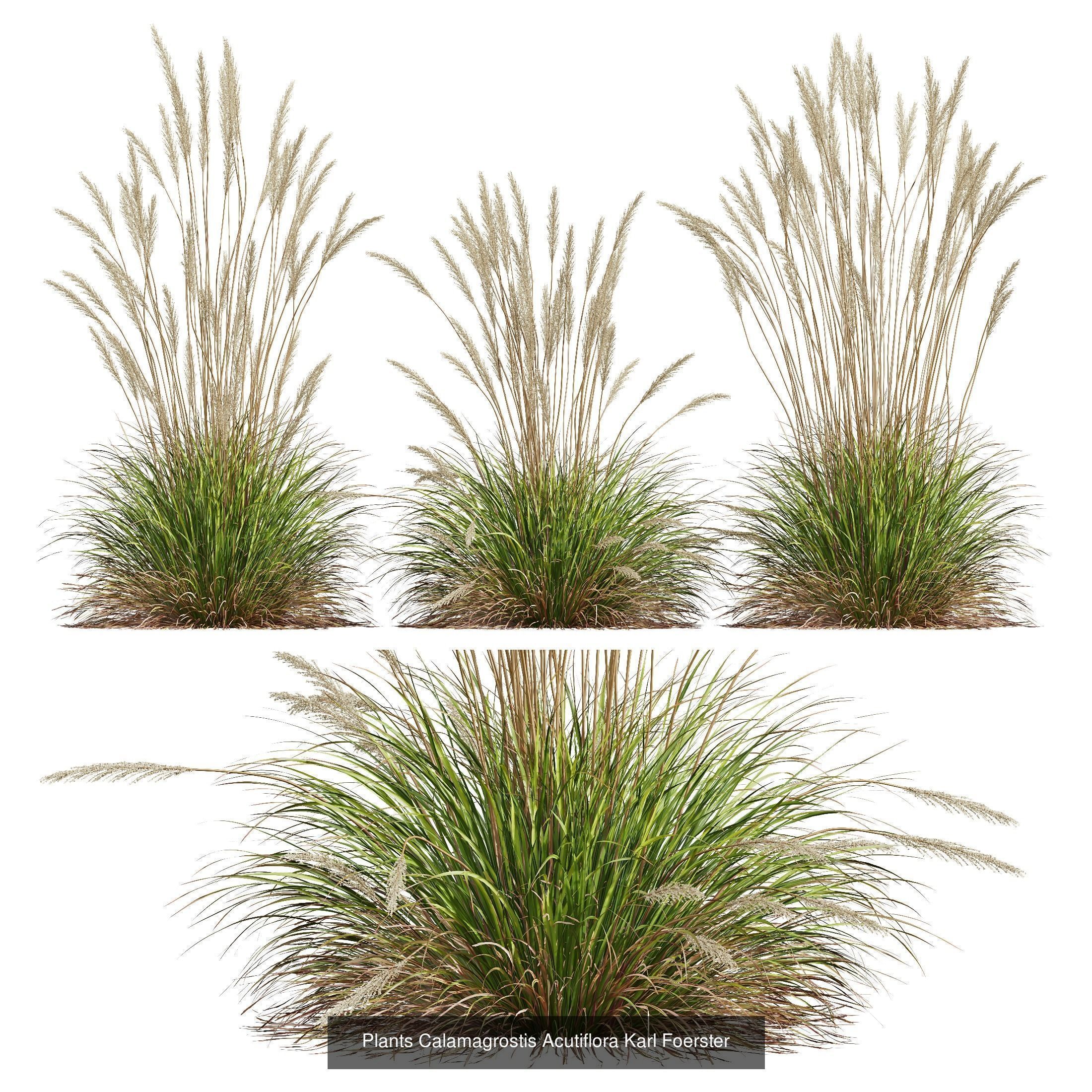 80 Different SETS Of Grass and Bush SET VOL08 3D Model Collection_34