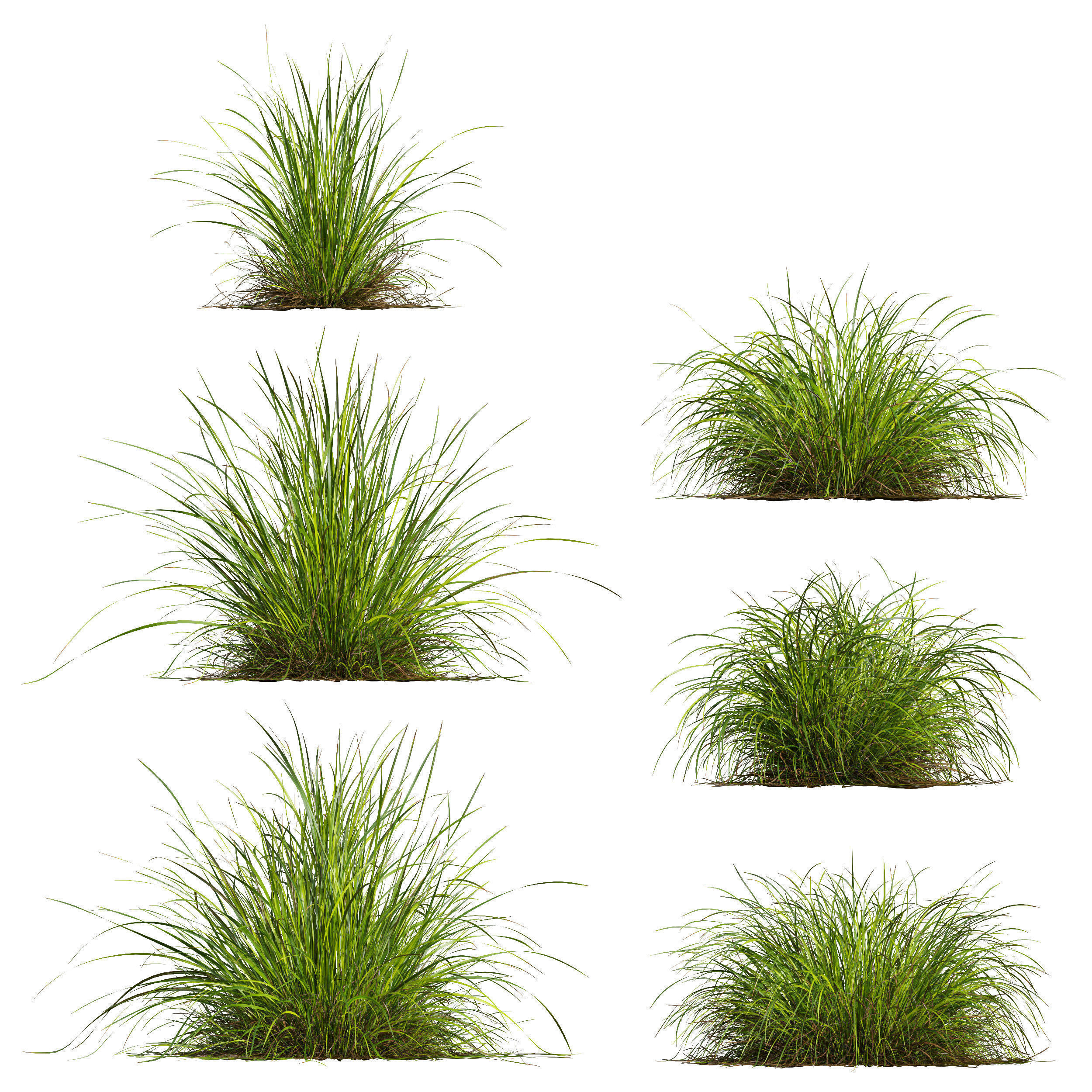80 Different SETS Of Grass and Bush SET VOL08 3D Model Collection_95