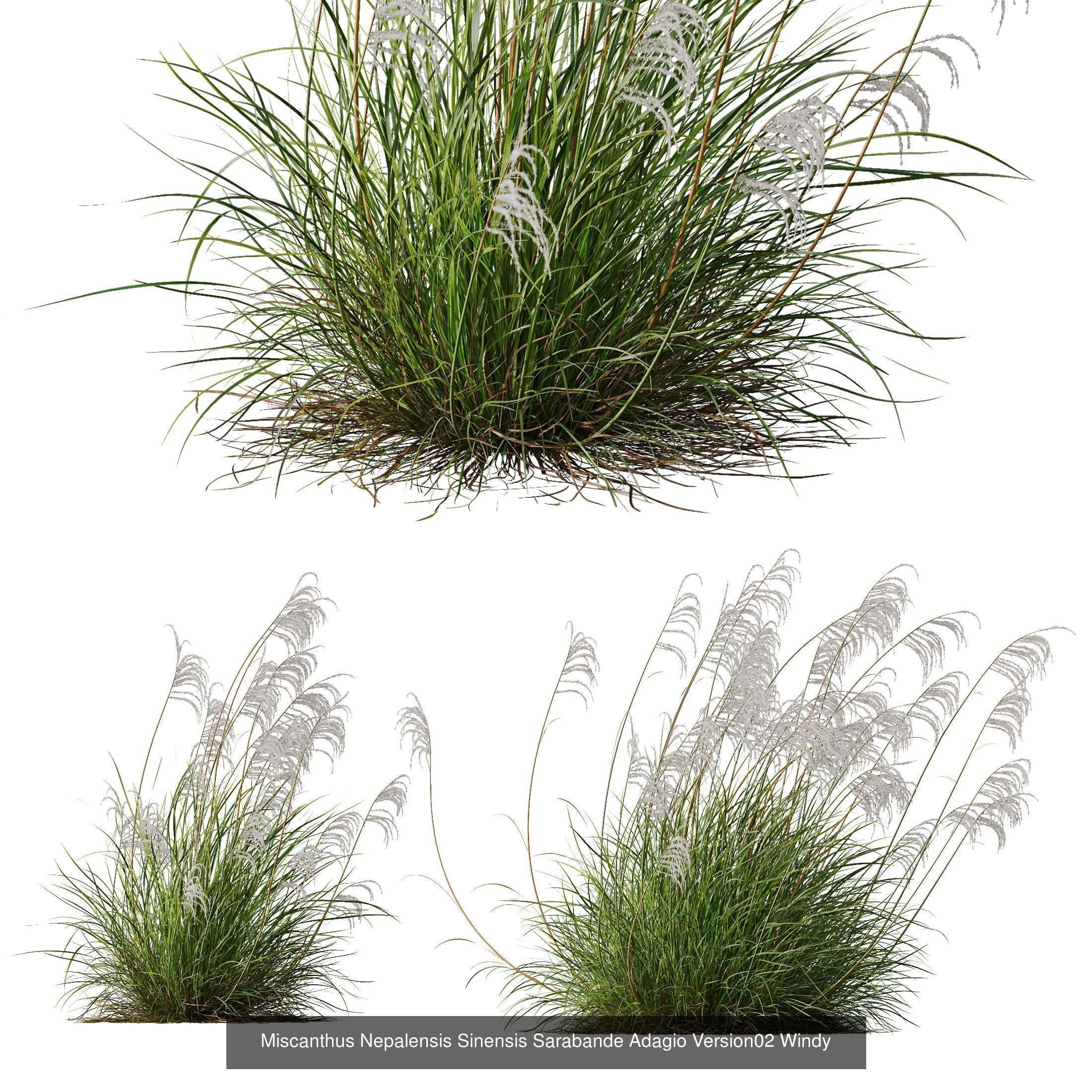 80 Different SETS Of Grass and Bush SET VOL08 3D Model Collection_98