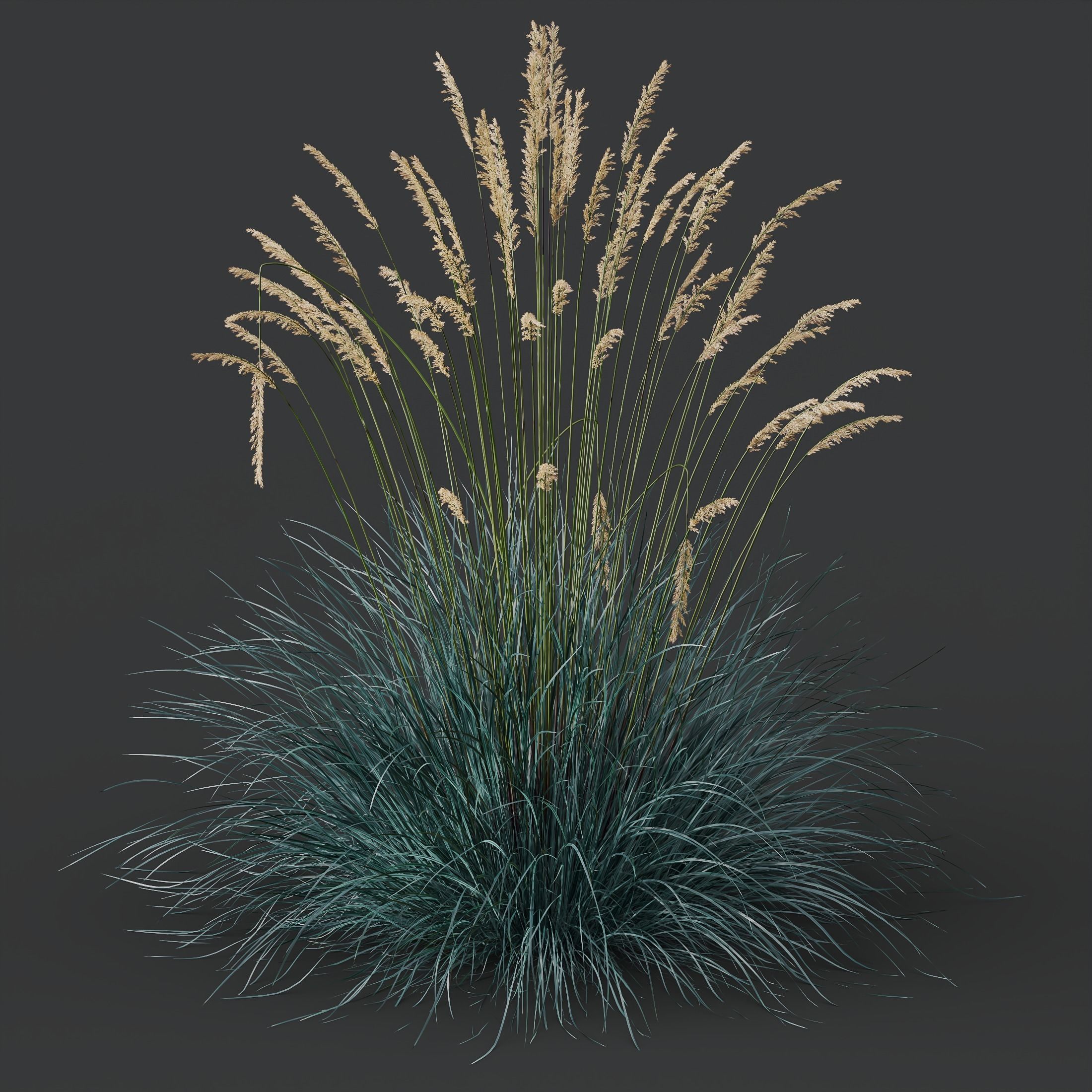 80 Different SETS Of Grass and Bush SET VOL08 3D Model Collection_224