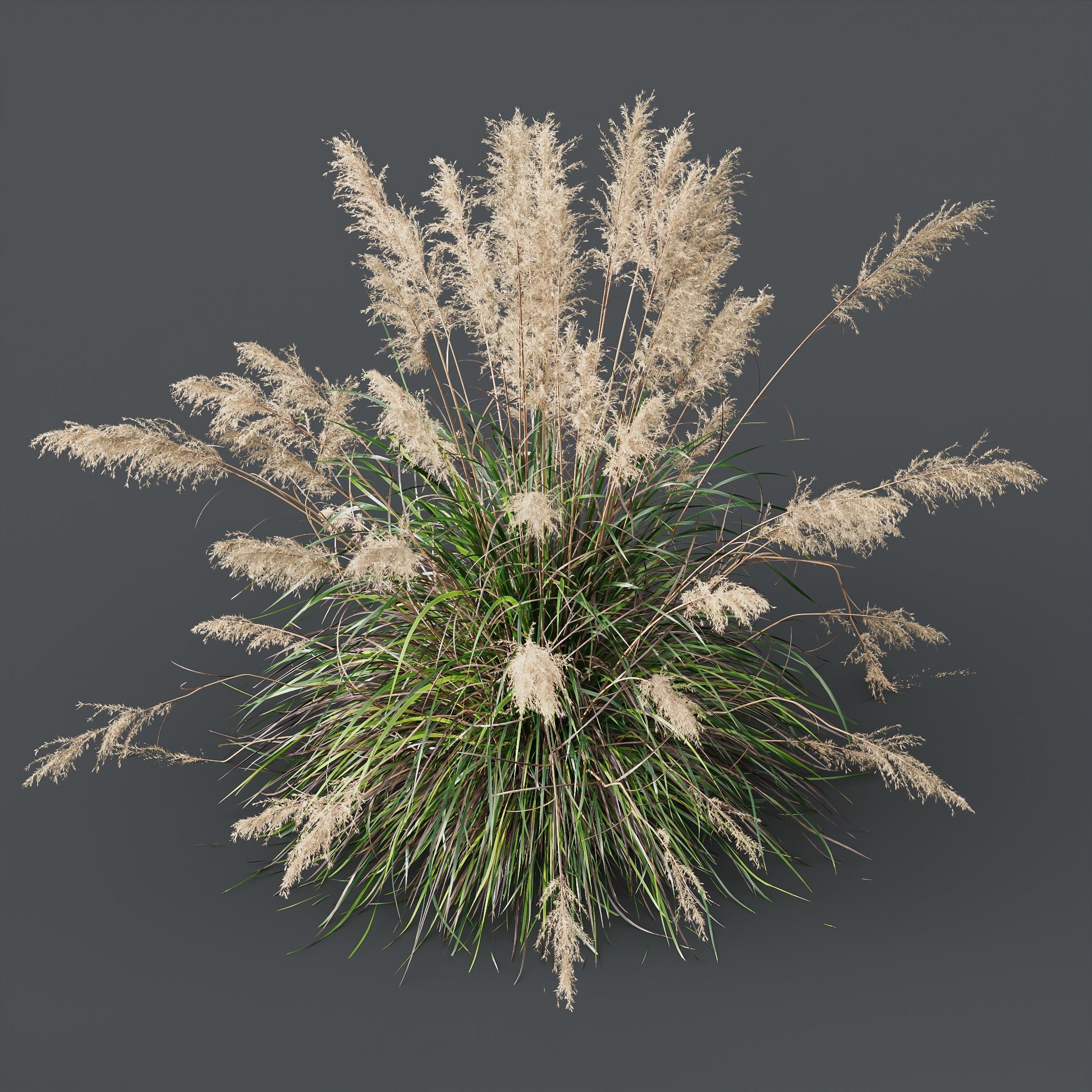 80 Different SETS Of Grass and Bush SET VOL08 3D Model Collection_217