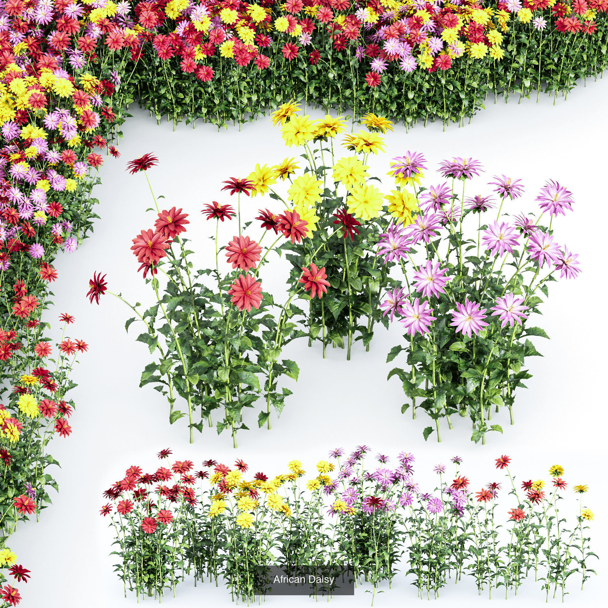 80 Different SETS Of Grass and Bush SET VOL08 3D Model Collection_14