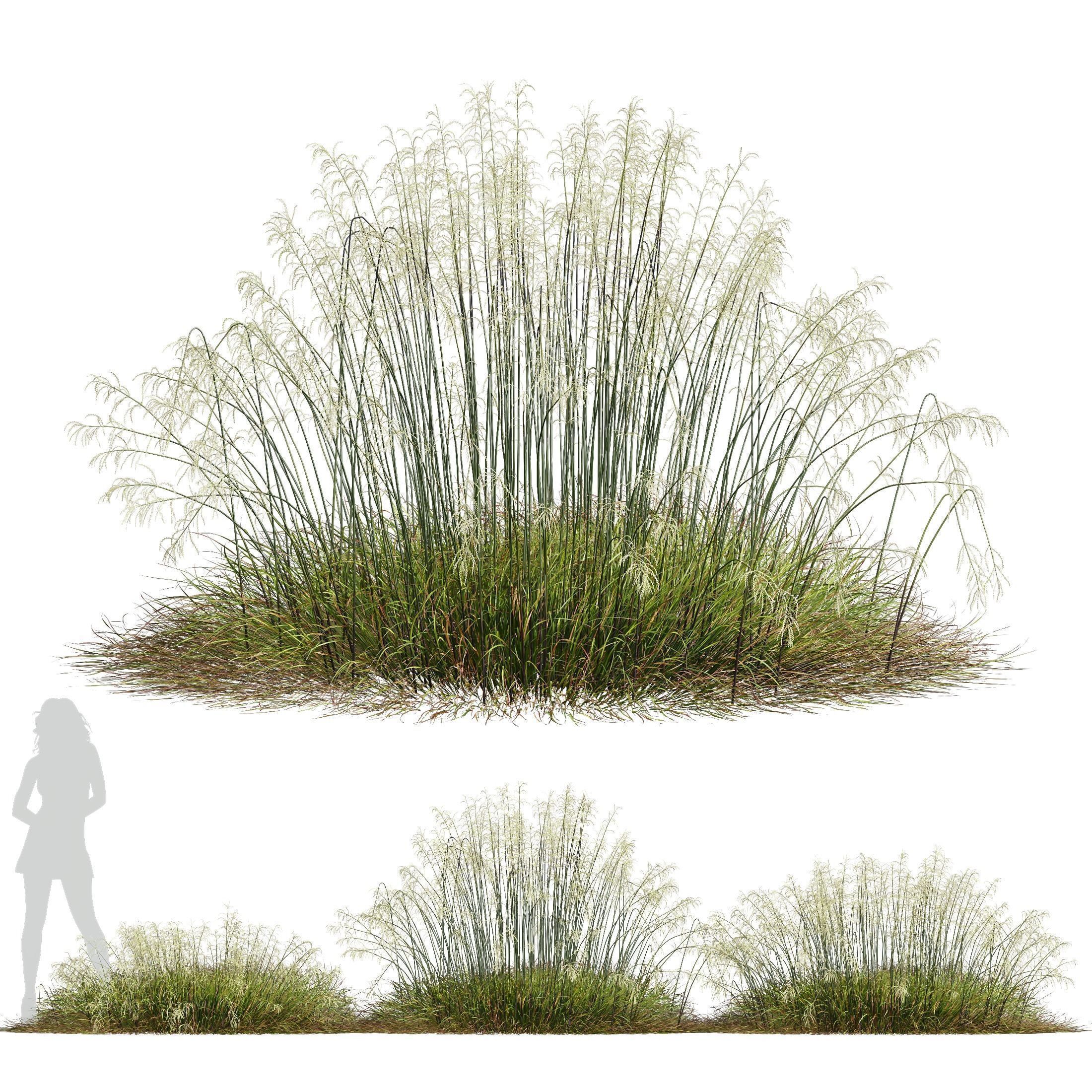 80 Different SETS Of Grass and Bush SET VOL08 3D Model Collection_51