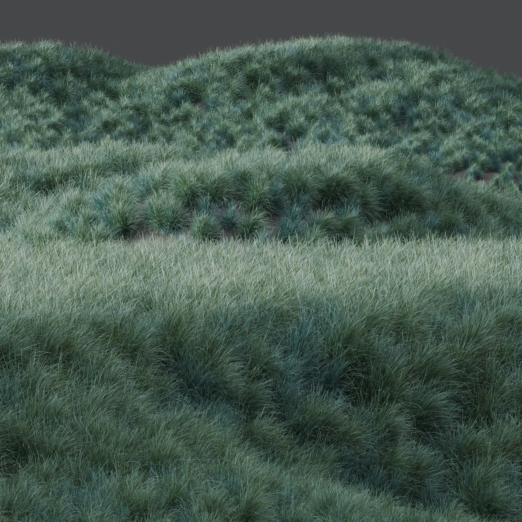 80 Different SETS Of Grass and Bush SET VOL08 3D Model Collection_256