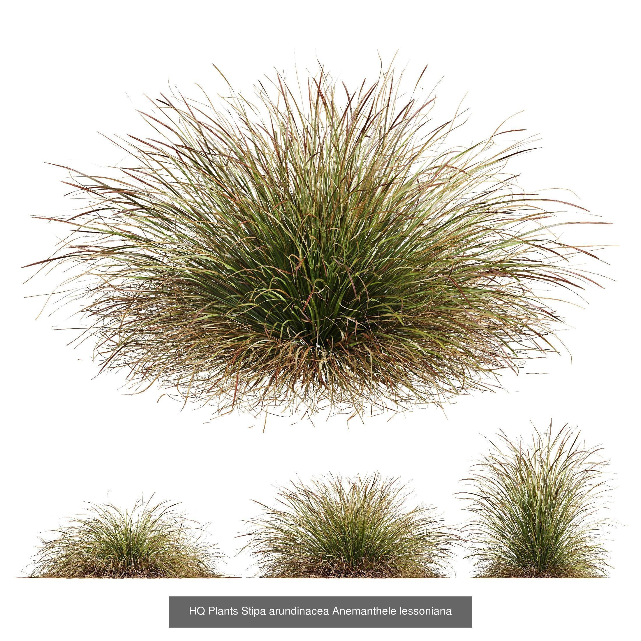 80 Different SETS Of Grass and Bush SET VOL08 3D Model Collection_24