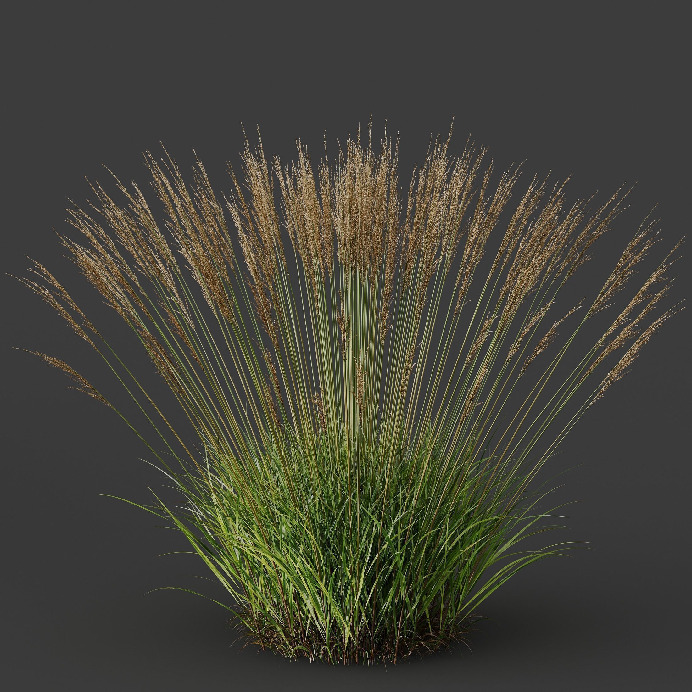 80 Different SETS Of Grass and Bush SET VOL08 3D Model Collection_179