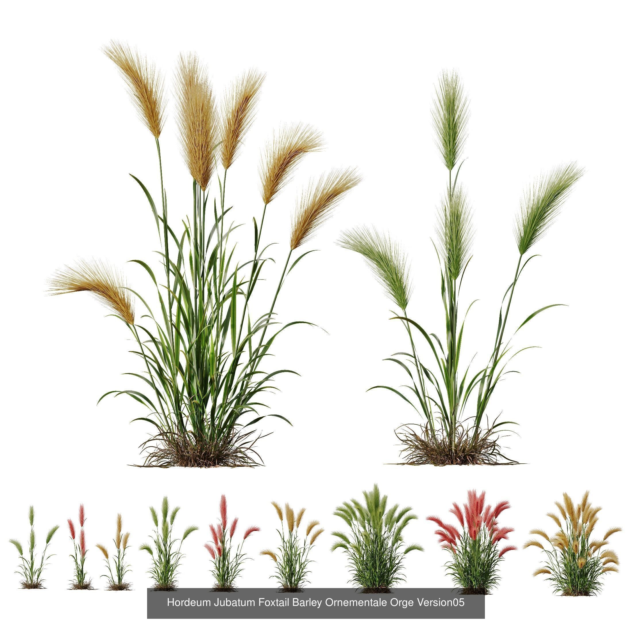 80 Different SETS Of Grass and Bush SET VOL08 3D Model Collection_100