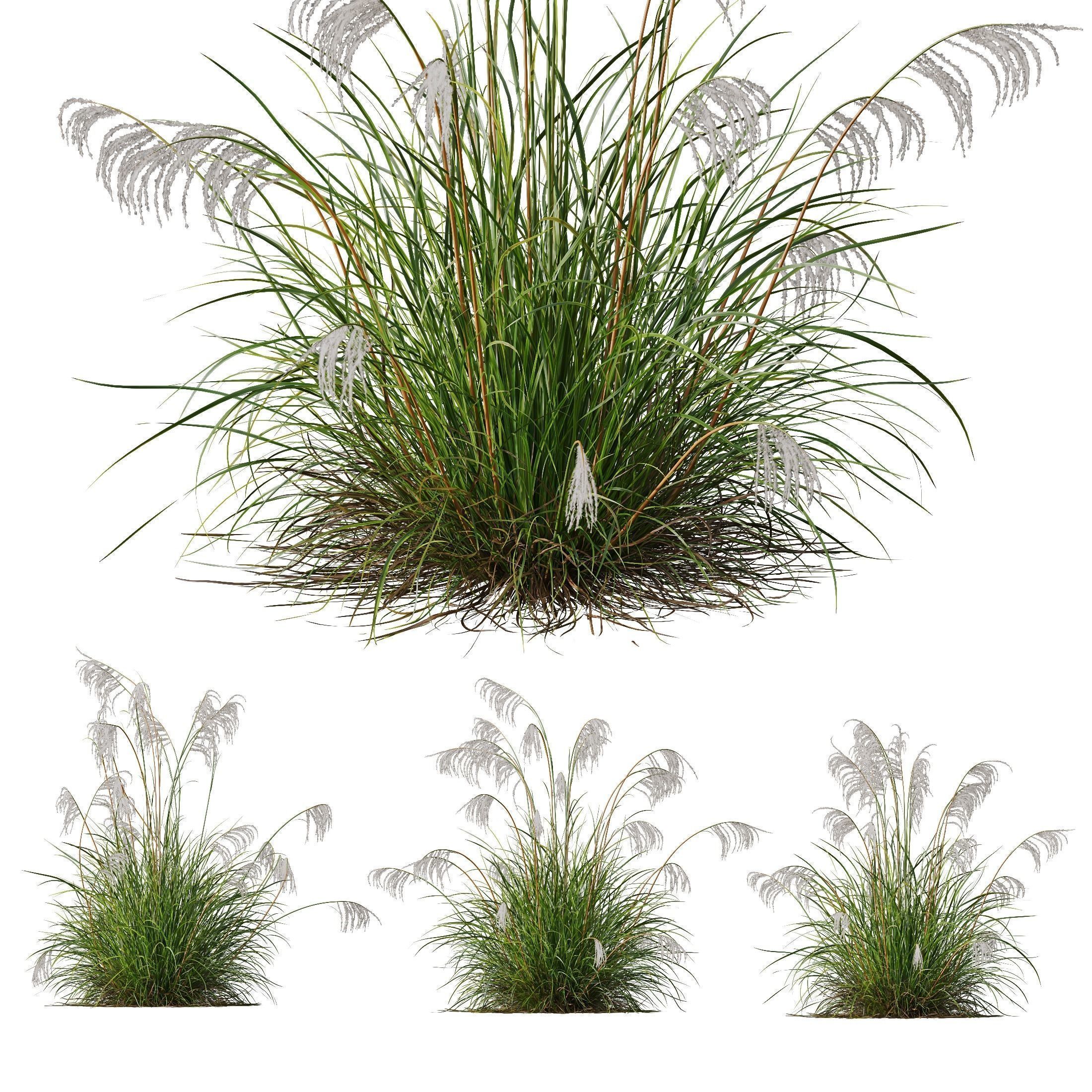 80 Different SETS Of Grass and Bush SET VOL08 3D Model Collection_149