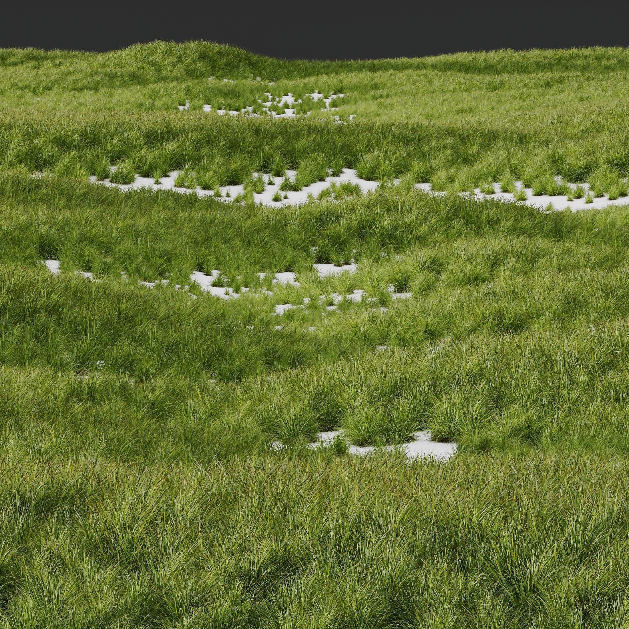 80 Different SETS Of Grass and Bush SET VOL08 3D Model Collection_205
