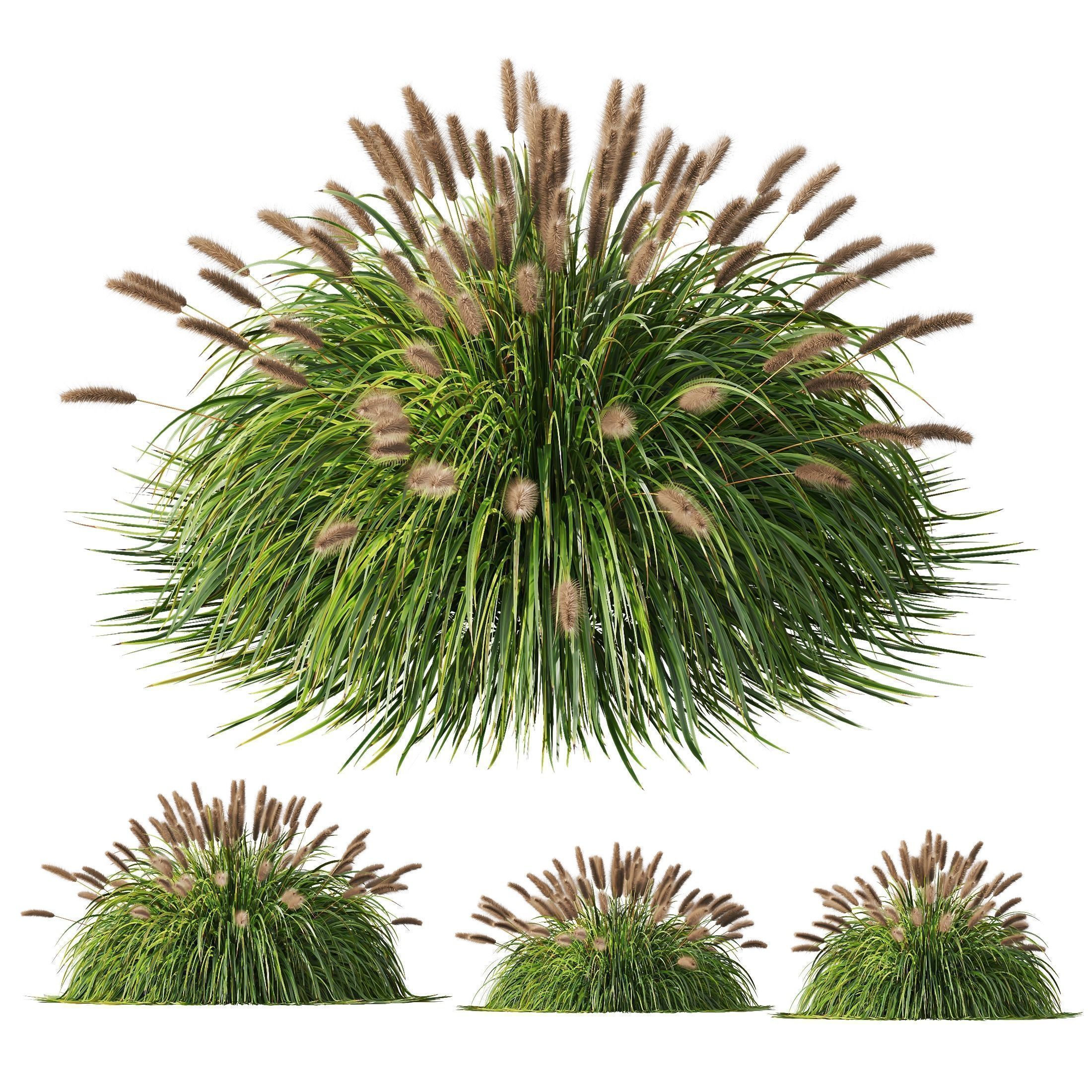 80 Different SETS Of Grass and Bush SET VOL08 3D Model Collection_53